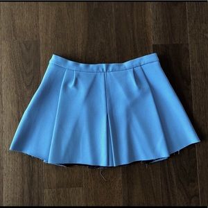 Zara Mini Skirt